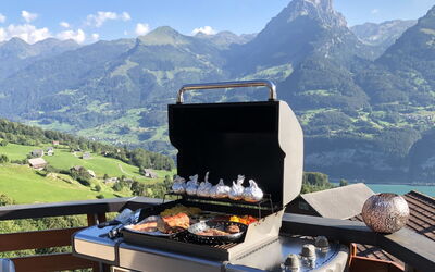 Penthouse Brugg