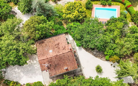 Mariani: Vegetationen, Landskab, Fugleperspektiv, Have, Estate, Landscaping, Luftfotografering, Plantation, Svømmepøl, Evergreen