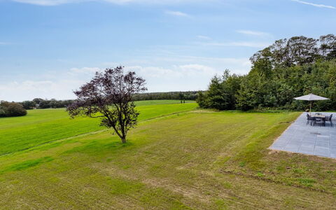 Landuin - 30Km from the Sea: Græs, Græs-, Landskab, Økoregion, Almindeligt, Plantesamfund, Land Lot, Udendørs Møbler, Prærie, Shrubland