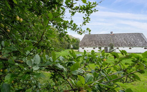 Landuin - 30Km from the Sea: Græs, Græs-, Landskab, Økoregion, Almindeligt, Plantesamfund, Land Lot, Udendørs Møbler, Prærie, Shrubland