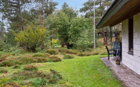 Fulla - 650M from the Sea: Græs, Vegetationen, Busk, Have, Plantesamfund, Land Lot, Bunddække, Sommerhus
