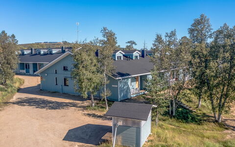 Saarihely A1: Træ, Sommerhus, Bjælkehytte, Skov, Skur, Garden Bygninger, Lærk, Woodland, Bejdse