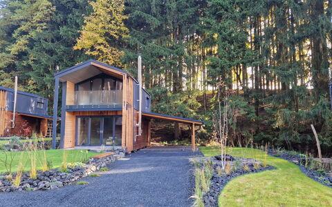Luxe Timber Lodge & Relaxing Bath: Plante, Natur, Træ, Naturlige Landskab, Land Lot, Træ, Biome, Sommerhus, Bygning, Boligområde