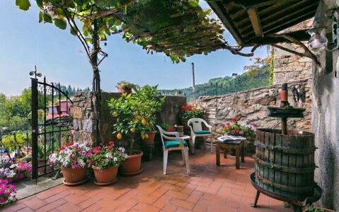 La Casa del Fale di Collodi: Blomsterkrukke, Stueplante, Forår, Have, Blomsterhandlere, Altan, Gårdsplads, Floral Design