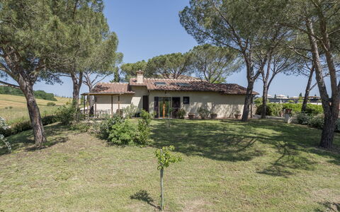 Anilde, Holiday Home with Pool, Wifi, Tuscany: Plante, Himmel, Bygning, Træ, Vindue, Naturlige Landskab, Hus, Land Lot, Græs, Sommerhus