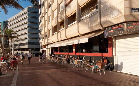 Nautilus: Bygning, Daytime, Vindue, Træ, Arkitektur, Urban Design, Kvarter, Facade, City, Hovedstadsområde