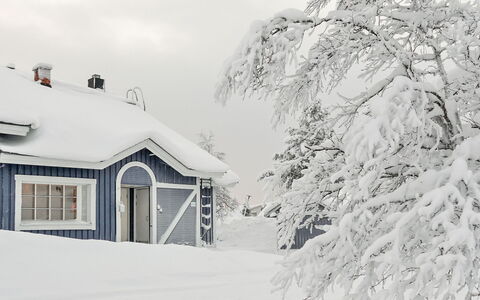 Sinitaivas: Træ, Sne, Vinter, Sommerhus, Fryser, Hjem, Bjælkehytte, Lærk, Sidespor