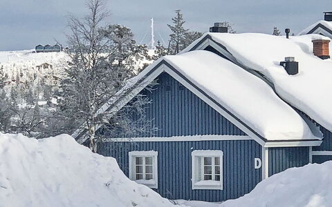 Sinitaivas: Træ, Sne, Vinter, Sommerhus, Fryser, Hjem, Bjælkehytte, Lærk, Sidespor