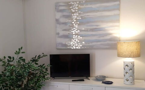 Luzi: Ejendom, Møbel, Cabinetry, Plante, Countertop, Bygning, Træ, Skuffe, Blomsterkrukke, Indretning
