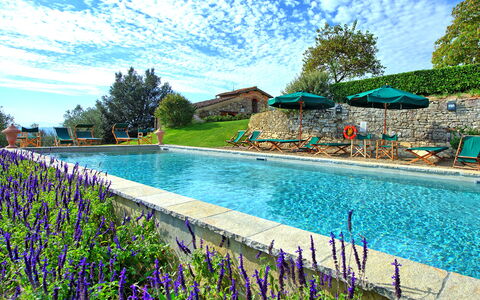 Villa Cona: Vand, Sky, Himmel, Blomst, Plante, Svømmepøl, Natur, Azure, Træ, Naturlige Landskab