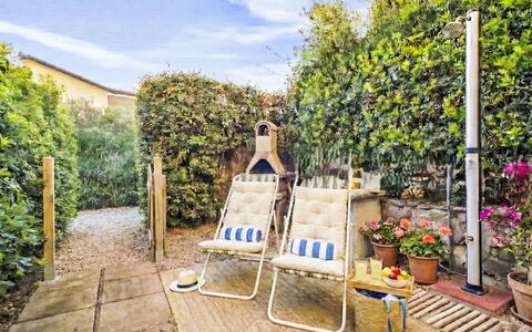 Happy Island: Busk, Blomsterkrukke, Have, Udendørs Møbler, Stueplante, Stol, Backyard, Landscaping, Skygge