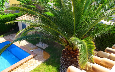 Villa Marisol: Plante, Træ, Terrestrisk Plant, Arecales, Frugt, Græs, Palme Træ, Udendørs Møbler, Evergreen, Skygge