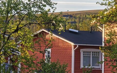 Luulampi F5: Træ, Sommerhus, Bjælkehytte, Skov, Skur, Garden Bygninger, Lærk, Woodland, Bejdse