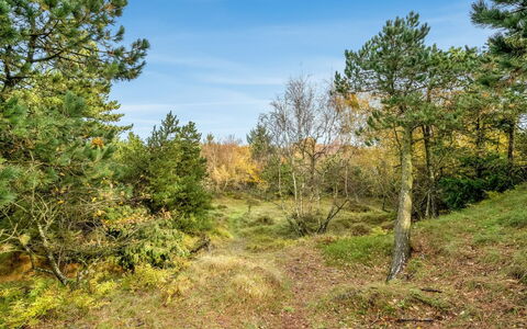 Florencia: Tag, Hus, Hjem, Sommerhus, Dør, Sidespor, Dæk, Veranda, Planke, Hårdttræ
