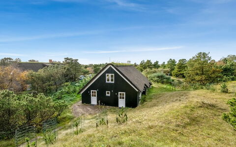 Florencia: Tag, Hus, Hjem, Sommerhus, Dør, Sidespor, Dæk, Veranda, Planke, Hårdttræ