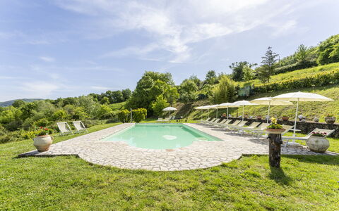 Podere Marcigliana - Radicondoli: Himmel, Sky, Vandressourcer, Plante, Vand, Træ, Land Lot, Skygge, Naturlige Landskab, Fritid