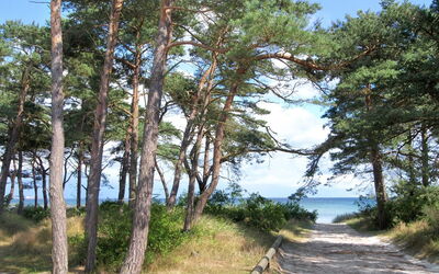 Windelgard - 140M from the Sea