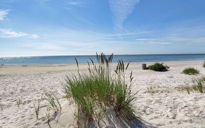Windelgard - 140M from the Sea