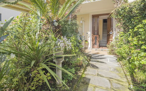 La Bouganville, Forte Dei Marmi, Private Garden, W: Busk, Have, Blomsterkrukke, Landscaping, Stueplante, Gård, Flise, Backyard, Gårdsplads