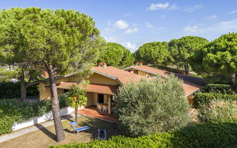 Argentario Giannella Apartment- Orbetello, Toscana: Plante, Sky, Himmel, Plantesamfund, Bygning, Vindue, Træ, Naturlige Landskab, Vegetationen, Land Lot