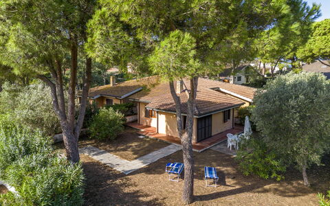 Giannella Apartment - Orbetello, Toscana: Plante, Vindue, Bygning, Træ, Hus, Træ, Sommerhus, Naturlige Landskab, Fritid, Landskab
