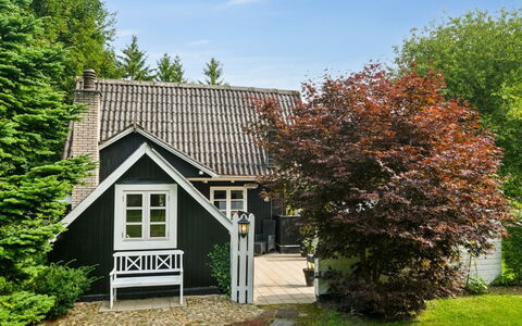 Vesa - 2.4Km from the Sea: Tag, Hus, Hjem, Sommerhus, Busk, Sidespor, Have, Dør, Garden Bygninger, Backyard
