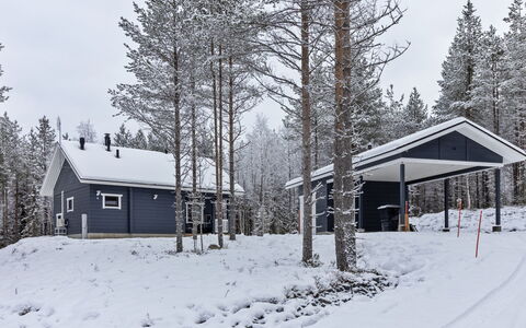 Mäkitie 4: Træ, Bank, Hus, Sommerhus, Sø, Dam, Skov, Bjælkehytte
