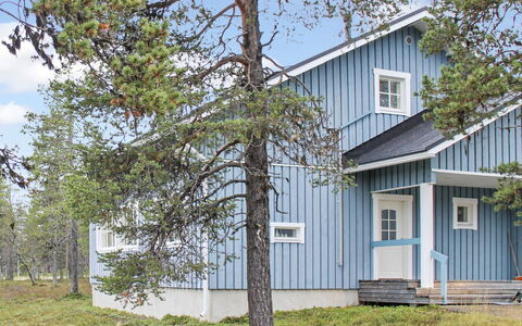 Kermikkä: Træ, Sommerhus, Bjælkehytte, Skov, Skur, Garden Bygninger, Lærk, Woodland, Bejdse