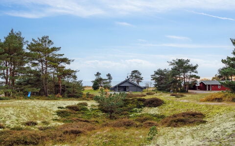 Galt - 200M from the Sea: Møbel, Couch, Indretning, Gulvbelægning, Stue, Etage, Throw Pillow, Værelse, Pude