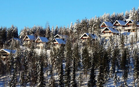 Hyrynpirtti Mökki: Træ, Sommerhus, Hjem, Bjælkehytte, Tømmer, Sidespor, Hårdttræ, Naturmateriale, Garden Bygninger, Hytte