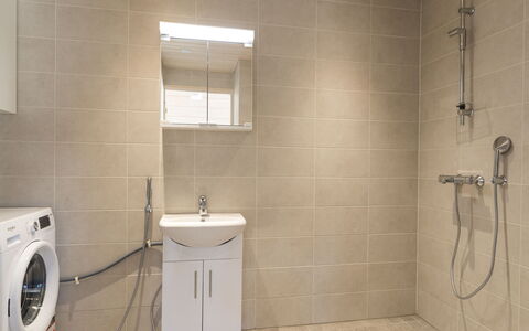 Taimen: Gulvbelægning, Etage, Væg, Indretning, Sanitærarmatur, Badeværelse, Loft, Badeværelsesskab, Tap, Værelse