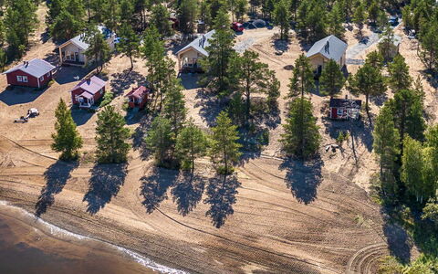 Taimen: Træ, Landskab, Sommerhus, Evergreen, Lærk, Pine Family, Bjælkehytte, Sand