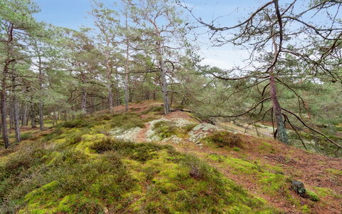 Micaela - 450M from the Sea: Træ, Tag, Arkitektur, Hjem, Hus, Sommerhus, Sidespor, Hårdttræ, Hældning, Estate