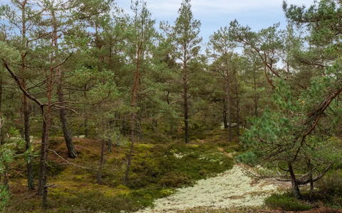 Micaela - 450M from the Sea: Træ, Tag, Arkitektur, Hjem, Hus, Sommerhus, Sidespor, Hårdttræ, Hældning, Estate
