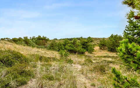 Vemund - 300M from the Sea: Græs, Græs-, Land Lot, Sommerhus, Landdistrikt, Eng, Garden Bygninger, Have, Skur