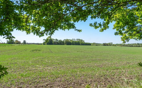 Eliane - 1.8Km from the Sea: Træ, Tag, Arkitektur, Hjem, Hus, Sommerhus, Sidespor, Hårdttræ, Hældning, Estate