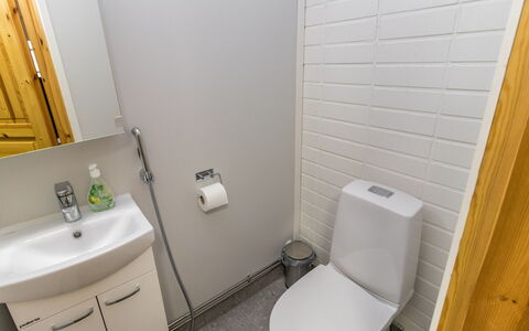 Teerenpesue e 36 Gaissa: Toiletbræt, Badeværelse, Toilet, Sanitærarmatur, Badeværelsesvask, Væg, Gulvbelægning, Håndvask, Etage, Indretning