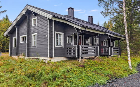 Ukko 14: Træ, Træ, Sommerhus, Hus, Tag, Hjem, Land Lot, Landdistrikt, Sidespor