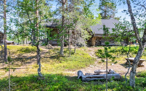 Kiilopalkinen: Træ, Land Lot, Sommerhus, Woodland, Hytte, Bjælkehytte, Hytte, Garden Bygninger, Skur