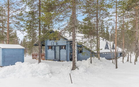 Aihki 1: Træ, Sommerhus, Bjælkehytte, Skov, Skur, Garden Bygninger, Lærk, Woodland, Bejdse