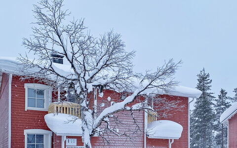 Outapailakka i 1: Træ, Sne, Vinter, Sommerhus, Fryser, Hjem, Bjælkehytte, Lærk, Sidespor