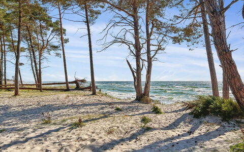 Ellynor - 600M from the Sea: Blå, Naturligt Miljø, Træ, Kyst, Strand, Coastal Og Oceaniske Landskabsformer, Kyst, Hav, Ocean, Sand