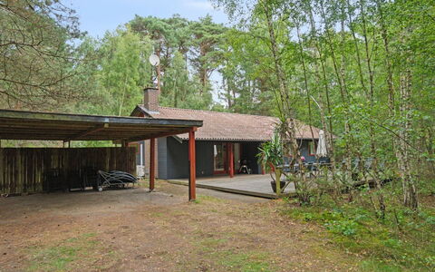 Clementine - 1.2Km from the Sea: Træ, Tag, Arkitektur, Hjem, Hus, Sommerhus, Sidespor, Hårdttræ, Hældning, Estate