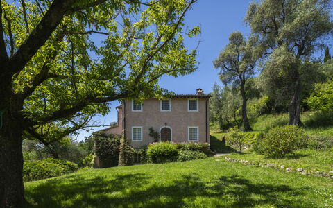 La Casa Dei Limoni, Camaiore, Pet Friendly, Wifi: Træ, Græs, Blad, Natur, Vegetationen, Busk, Hus, Landdistrikt, Landskab