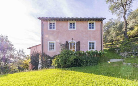 La Casa Dei Limoni, Camaiore, Pet Friendly, Wifi: Vegetationen, Busk, Hus, Landdistrikt, Plantesamfund, Sommerhus, Hjem, Forår, Bunddække, Have