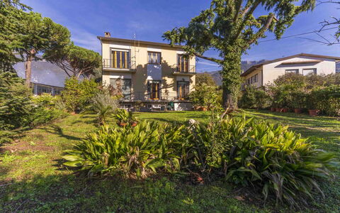 Casa Vacanza Mais - Camaiore, Toscana: Plante, Bygning, Himmel, Vindue, Plantesamfund, Azure, Træ, Hus, Land Lot, Arecales