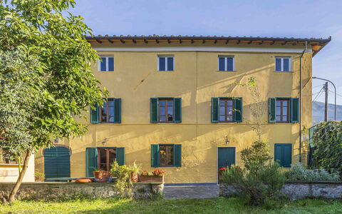Casale Il Farro - Camaiore, Toscana: Plante, Bygning, Vindue, Himmel, Træ, Land Lot, Hus, Græs, Sommerhus, Boligområde