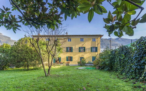 Casale Il Farro - Camaiore, Toscana: Plante, Himmel, Ejendom, Vindue, Blad, Grøn, Natur, Botanik, Land Lot, Vegetationen