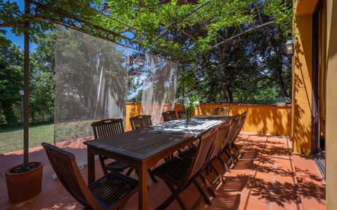 Tenuta De Paoli - Chianni, Pool, Wifi, Privacy, To: Bord, Møbel, Træ, Træ, Stol, Udendørs Bord, Plante, Udendørs Møbler, Skygge, Fritid
