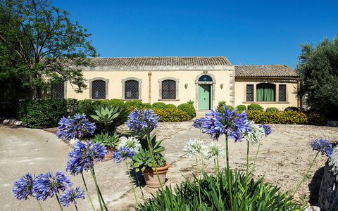 Casa Colore - Siracusa, Sicilia: Blomst, Plante, Himmel, Bygning, Ejendom, Vindue, Botanik, Azure, Hus, Træ